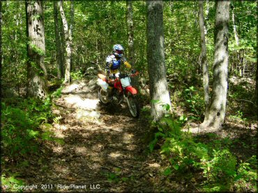 OHV at Franklin Trails