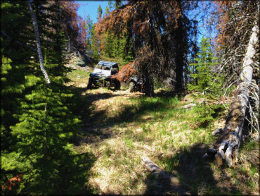 Twin Sisters and Mack King Trails