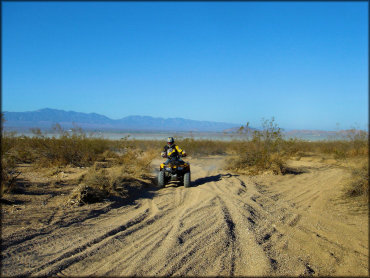 Honda 250 ATV going through sandy trail.