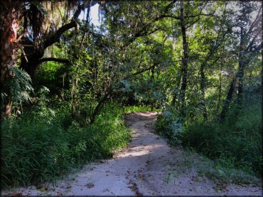 Peace River Campground Trail