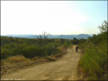 Rider on Honda dirt bike navigating dirt road.