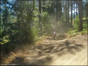 Honda CRF Dirt Bike at Miami Creek OHV Area Trail