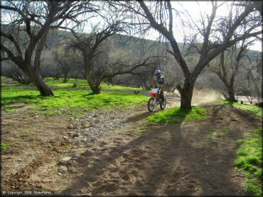 Honda CRF Trail Bike at Black Hills Box Canyon Trail