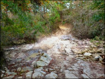 Sandstone Trail