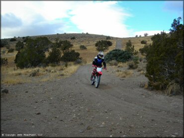 Honda CRF Motorbike at Mount Seigel OHV Trails