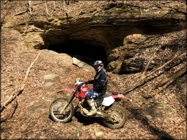 atv buffalo mountain trails trail