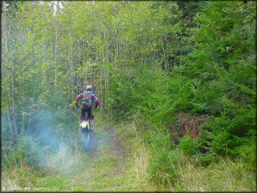 OHV doing a wheelie at Prairie Peak Trail