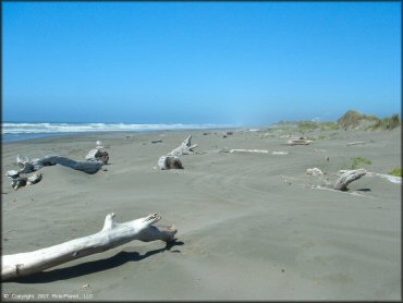 Scenery at Samoa Sand Dunes OHV Area