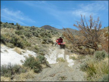 OHV at Blue Mountain Trail