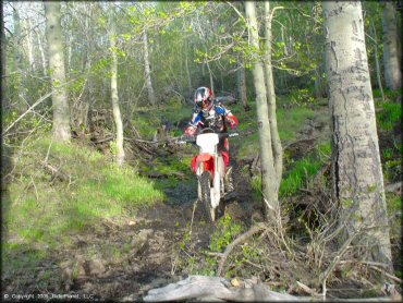 Honda CRF Motorcycle at Bull Ranch Creek Trail