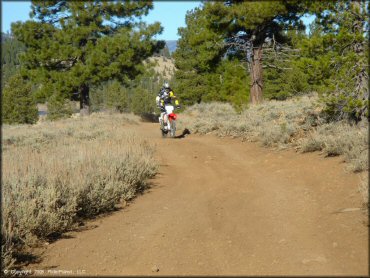 OHV at Billy Hill OHV Route Trail