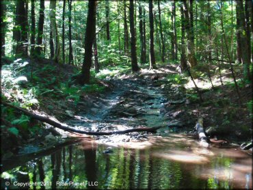 A trail at Camden ATV Trail