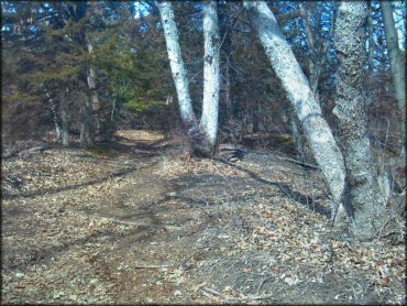 Example of terrain at Spillway Cycle Area Trail