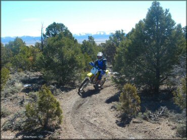 OHV at Ward Charcoal Ovens State Historic Park Trail