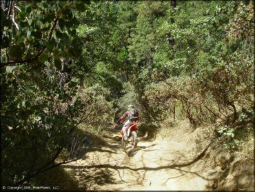 Honda CRF Trail Bike at Miami Creek OHV Area Trail