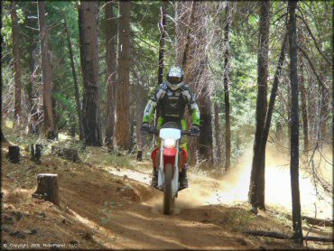 Honda CRF Motorbike at Elkins Flat OHV Routes Trail