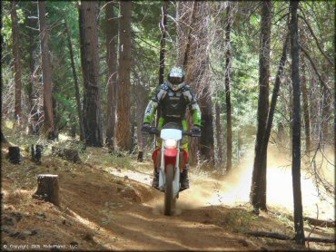 Honda CRF Trail Bike at Elkins Flat OHV Routes Trail