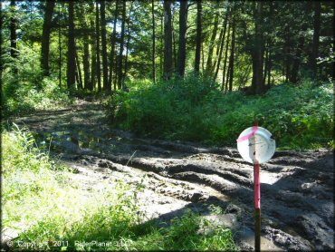 Some terrain at Camden ATV Trail