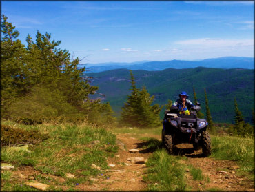 Twin Sisters and Mack King Trails