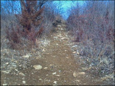 A trail at Spillway Cycle Area Trail