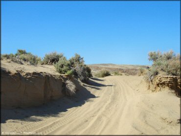 A trail at Mullen Creek Trail