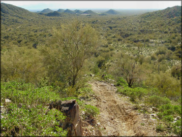 A scenic photo of single track trail with desert vegetation.