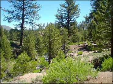 OHV at Mammoth Lakes Trail