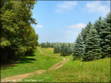 A trail at Tall Pines ATV Park Trail
