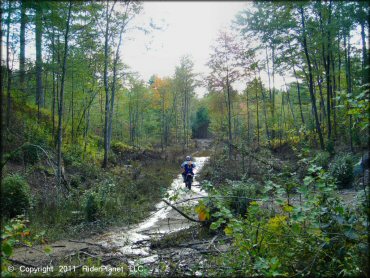 Honda CRF Trail Bike in the water at Hodges Village Dam Trail