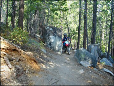 Honda CRF Motorcycle at Corral OHV Trail