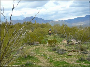 Honda CRF Motorcycle at Black Hills Box Canyon Trail