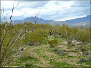 Honda CRF Motorbike at Black Hills Box Canyon Trail