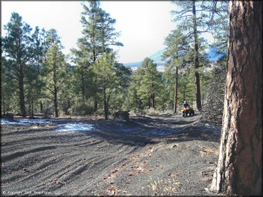 Yellow Honda Recon 250 navigating through a wide section of trail.