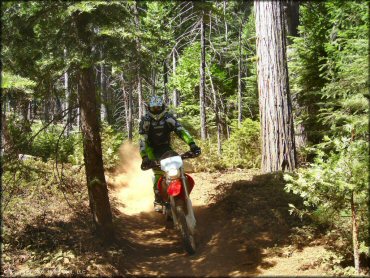 Honda CRF Dirtbike at Elkins Flat OHV Routes Trail