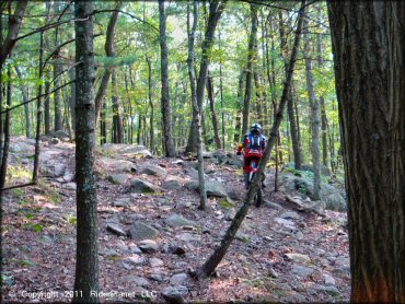 OHV at F. Gilbert Hills State Forest Trail