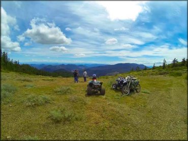 Elderberry Flats Trail