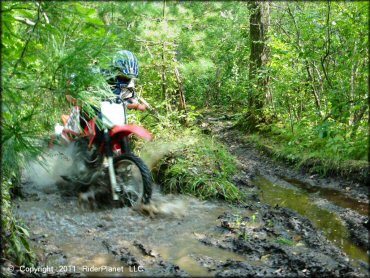 OHV traversing the water at Wrentham Trails