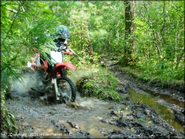 OHV getting wet at Wrentham Trails
