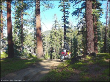 Honda CRF Motorcycle at Genoa Peak Trail