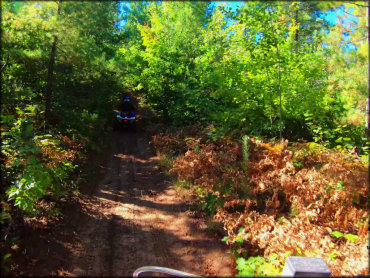 Indian River ATV Trail