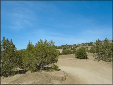 A trail at Stead MX OHV Area