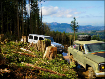 Jeep Rubicon following an older Jeep going through a muddy 4x4 trail carrying extra tire on the roof.