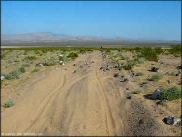 OHV at Jean Roach Dry Lake Bed Trail