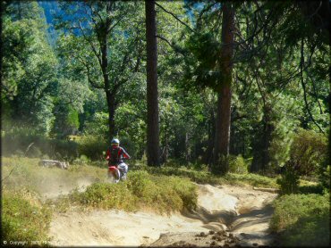 Honda CRF Dirt Bike at Miami Creek OHV Area Trail