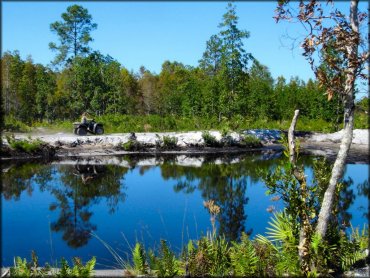 Florida Cracker Ranch Trail