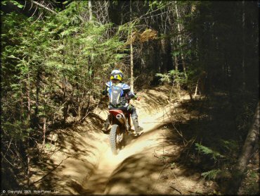 Honda CRF Dirt Bike at Elkins Flat OHV Routes Trail