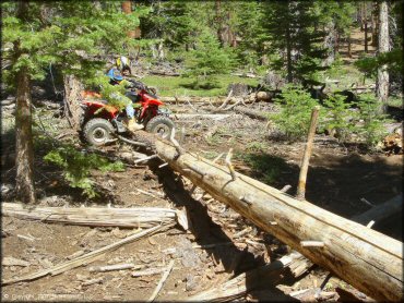 Woman riding a Honda ATV at South Camp Peak Loop Trail