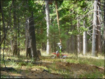 Honda CRF Dirtbike at Elkins Flat OHV Routes Trail