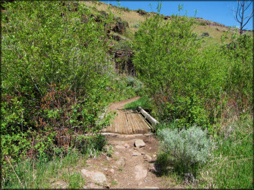 Scenic view of single track motorcycle trail with wooded bridge crossing.