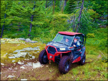 Owl Mountain Trail